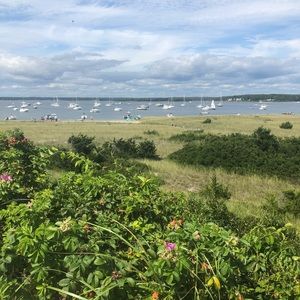 Meet your Posher, Chloe